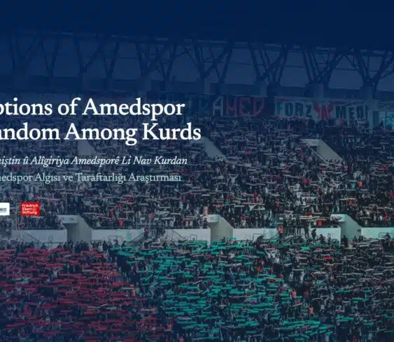 Perceptions of Amedspor and Fandom among Kurds /2026